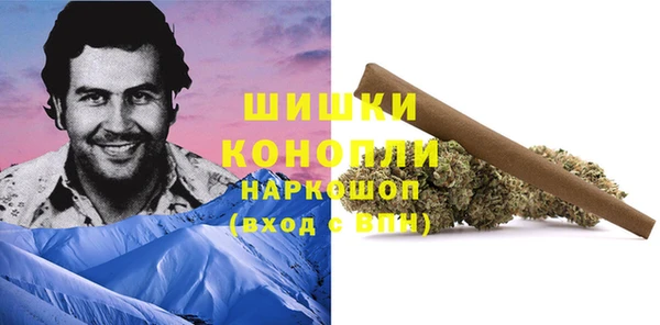 прущая мука Новодвинск