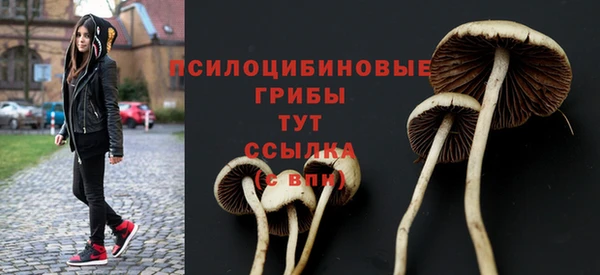 прущая мука Нязепетровск