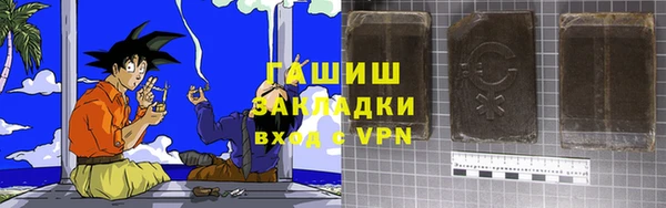 дживик Няндома