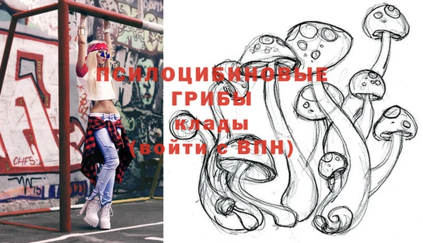 прущая мука Новодвинск