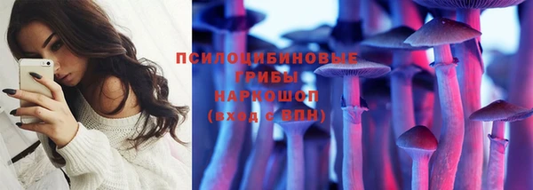 дживик Няндома