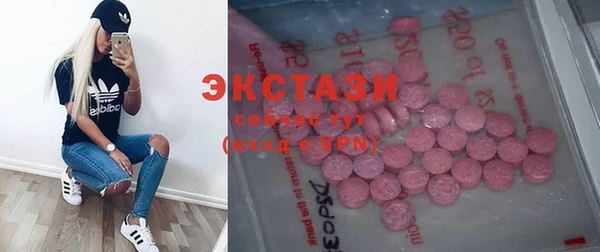 дживик Няндома