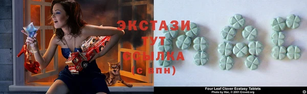 дживик Няндома