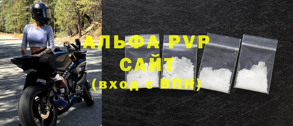 ПСИЛОЦИБИНОВЫЕ ГРИБЫ Новозыбков