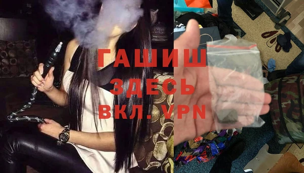 дживик Няндома
