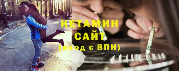 дживик Няндома