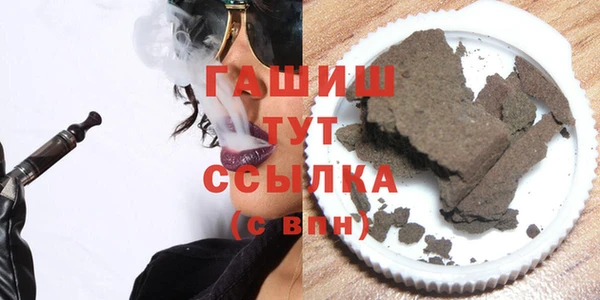 дживик Няндома