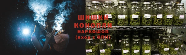 дживик Няндома