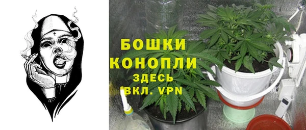амф Нягань