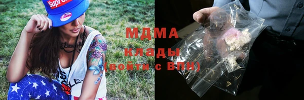 ПСИЛОЦИБИНОВЫЕ ГРИБЫ Новозыбков