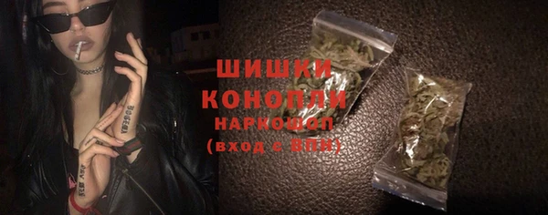 дживик Няндома