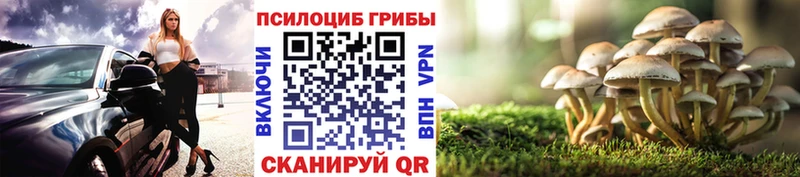 Галлюциногенные грибы Magic Shrooms  Купить где  Невель 